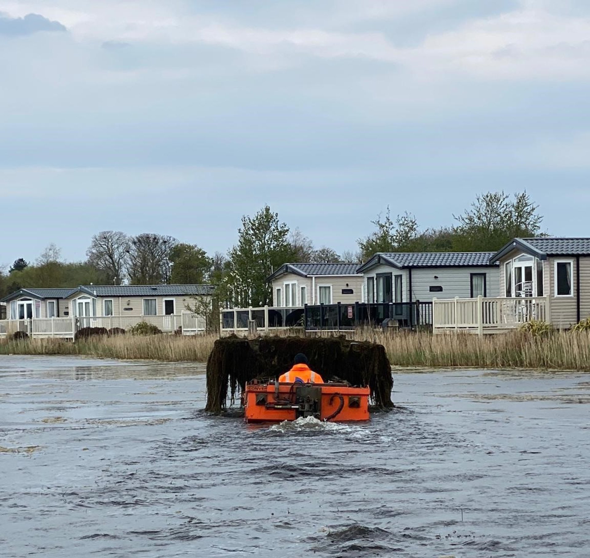 When Is the Best Time to Tackle Aquatic Weeds? | The Aqua Contractor